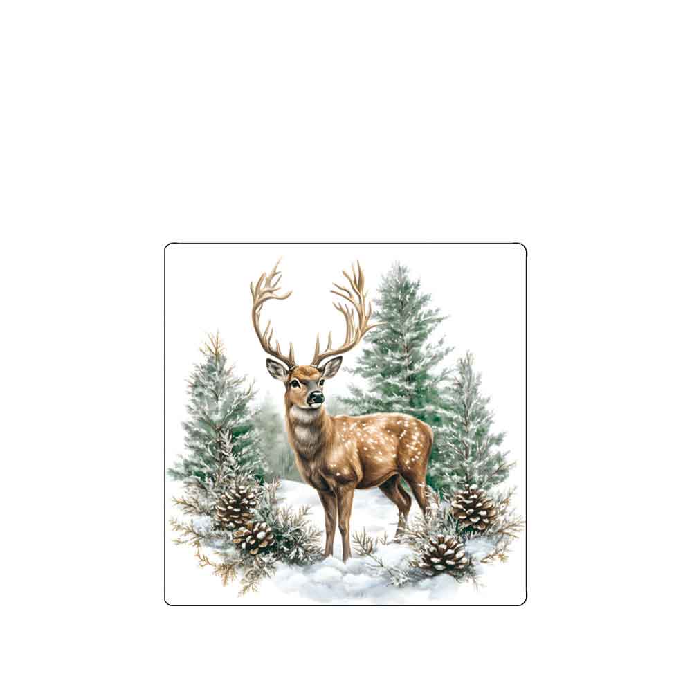 Winter stag white